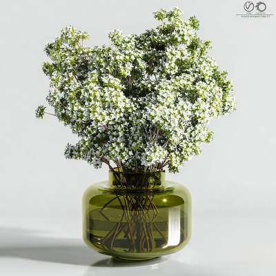 植物花束花瓶